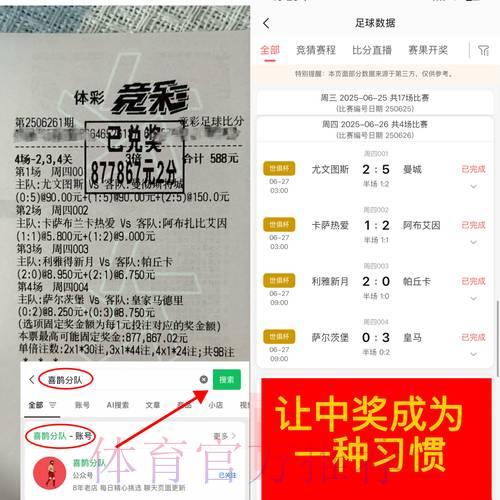 2026世界杯博彩活动中的潜在风险全面评估